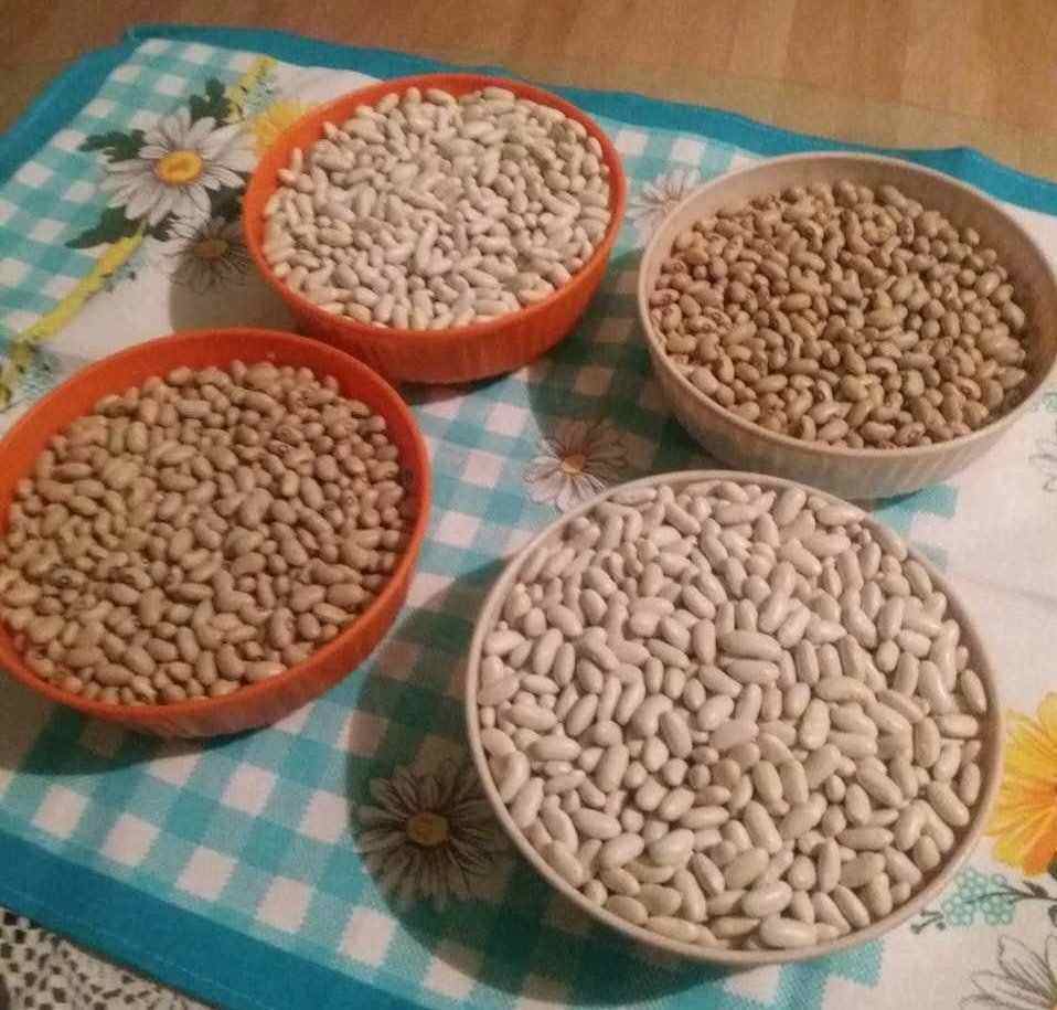 Beli i zeleni pasulj